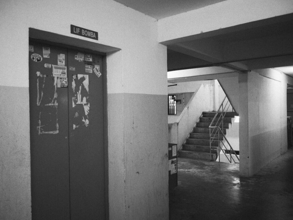 Cachorro com peitoral e guia no corredor do predio perto do elevador