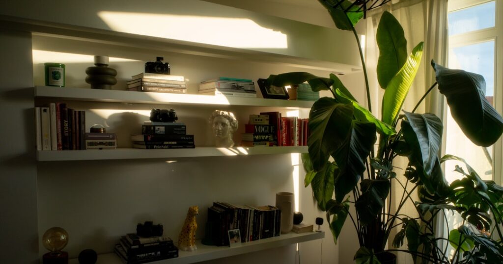 Gato em apartamento derrubando objeto de prateleira durante madrugada e rotina de ajuste noturno